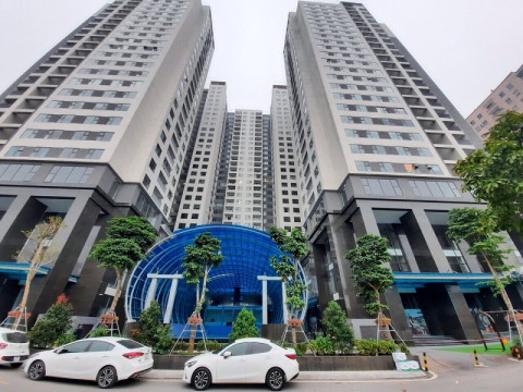 Việt Đức Complex